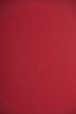 Mouseover to see larger image of: Red Sparkle Jacket Style: 44427